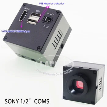 Lapsun 1/2-дюймовый Большой Датчик SONY 60 кадров в секунду Ultra HDMI C-Mount Digital Industry Microscope Объектив Видеокамеры 144 LED Ring Light