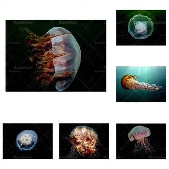 Медузы, плакаты для подводной съемки, минималистичные принты,
